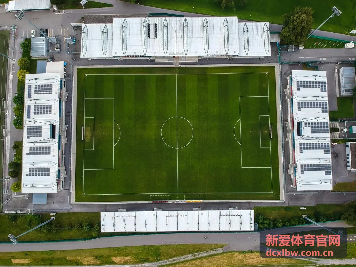 新爱体育官网成人游泳体验课程